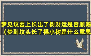 梦见坟墓上长出了树财运是否顺畅（梦到坟头长了棵小树是什么意思）