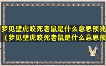 梦见壁虎咬死老鼠是什么意思预兆（梦见壁虎咬死老鼠是什么意思预兆女性）