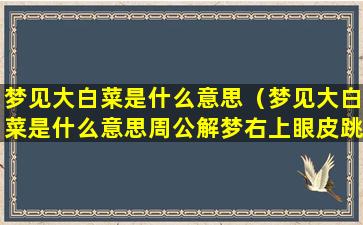 梦见大白菜是什么意思（梦见大白菜是什么意思周公解梦右上眼皮跳）