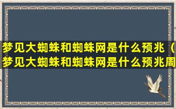 梦见大蜘蛛和蜘蛛网是什么预兆（梦见大蜘蛛和蜘蛛网是什么预兆周公解梦）