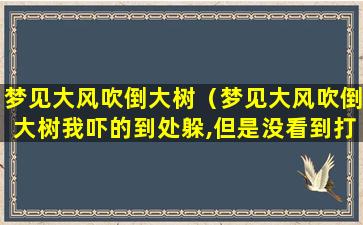 梦见大风吹倒大树（梦见大风吹倒大树我吓的到处躲,但是没看到打到任何）