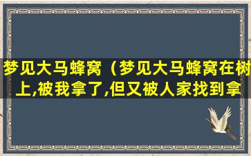 梦见大马蜂窝（梦见大马蜂窝在树上,被我拿了,但又被人家找到拿走）