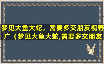 梦见大鱼大蛇，需要多交朋友视野广（梦见大鱼大蛇,需要多交朋友视野广）