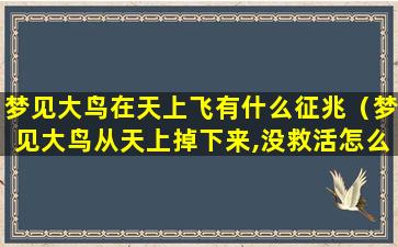 梦见大鸟在天上飞有什么征兆（梦见大鸟从天上掉下来,没救活怎么回事）