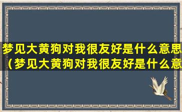 梦见大黄狗对我很友好是什么意思（梦见大黄狗对我很友好是什么意思呀）