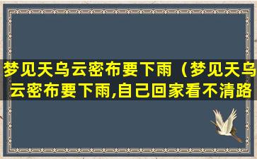 梦见天乌云密布要下雨（梦见天乌云密布要下雨,自己回家看不清路）