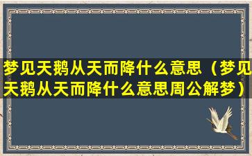 梦见天鹅从天而降什么意思（梦见天鹅从天而降什么意思周公解梦）