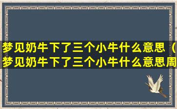 梦见奶牛下了三个小牛什么意思（梦见奶牛下了三个小牛什么意思周公解梦）