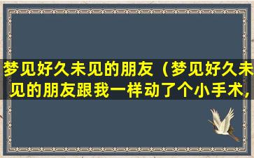 梦见好久未见的朋友（梦见好久未见的朋友跟我一样动了个小手术,还在做事）