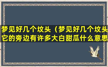 梦见好几个坟头（梦见好几个坟头它的旁边有许多大白甜瓜什么意思）