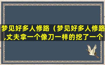 梦见好多人修路（梦见好多人修路,丈夫拿一个像刀一样的挖了一个坑）