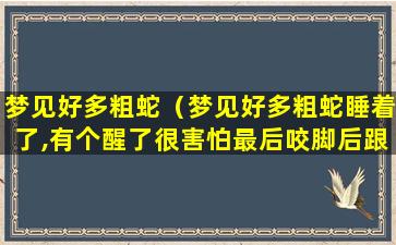 梦见好多粗蛇（梦见好多粗蛇睡着了,有个醒了很害怕最后咬脚后跟很疼）