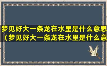 梦见好大一条龙在水里是什么意思（梦见好大一条龙在水里是什么意思周公解梦）