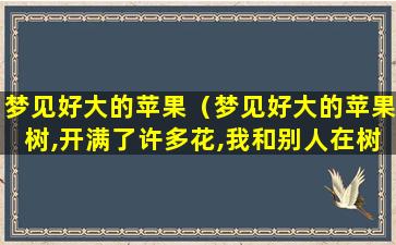 梦见好大的苹果（梦见好大的苹果树,开满了许多花,我和别人在树上摘花）