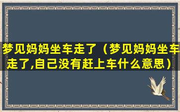 梦见妈妈坐车走了（梦见妈妈坐车走了,自己没有赶上车什么意思）