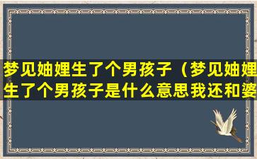 梦见妯娌生了个男孩子（梦见妯娌生了个男孩子是什么意思我还和婆婆吵架）