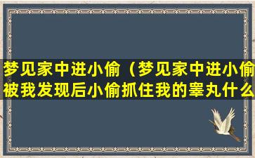 梦见家中进小偷（梦见家中进小偷被我发现后小偷抓住我的睾丸什么意思）