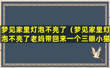 梦见家里灯泡不亮了（梦见家里灯泡不亮了老妈带回来一个三眼小猫）