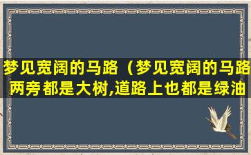 梦见宽阔的马路（梦见宽阔的马路两旁都是大树,道路上也都是绿油油的草）