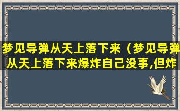 梦见导弹从天上落下来（梦见导弹从天上落下来爆炸自己没事,但炸了别人的房孑）