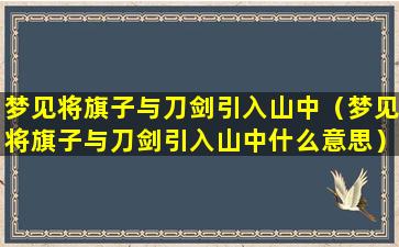 梦见将旗子与刀剑引入山中（梦见将旗子与刀剑引入山中什么意思）