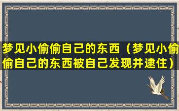 梦见小偷偷自己的东西（梦见小偷偷自己的东西被自己发现并逮住）