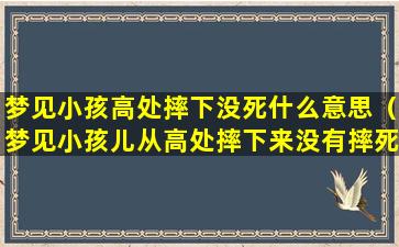 梦见小孩高处摔下没死什么意思（梦见小孩儿从高处摔下来没有摔死）