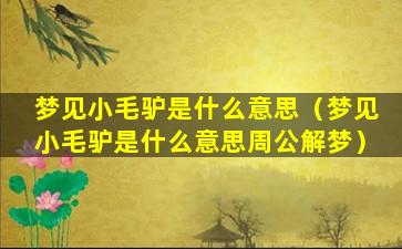 梦见小毛驴是什么意思（梦见小毛驴是什么意思周公解梦）