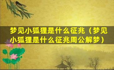 梦见小狐狸是什么征兆（梦见小狐狸是什么征兆周公解梦）