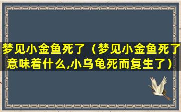 梦见小金鱼死了（梦见小金鱼死了意味着什么,小乌龟死而复生了）