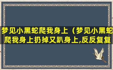 梦见小黑蛇爬我身上（梦见小黑蛇爬我身上扔掉又趴身上,反反复复）