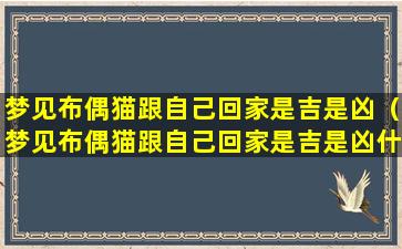 梦见布偶猫跟自己回家是吉是凶（梦见布偶猫跟自己回家是吉是凶什么意思）