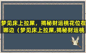 梦见床上拉屎，揭秘财运桃花位在哪边（梦见床上拉屎,揭秘财运桃花位在哪边）