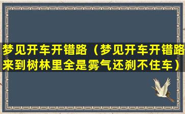 梦见开车开错路（梦见开车开错路来到树林里全是雾气还刹不住车）