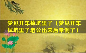 梦见开车掉坑里了（梦见开车掉坑里了老公出来后晕倒了）