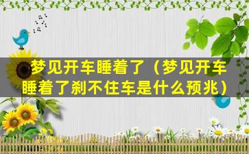 梦见开车睡着了（梦见开车睡着了刹不住车是什么预兆）