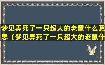 梦见弄死了一只超大的老鼠什么意思（梦见弄死了一只超大的老鼠什么意思周公解梦）