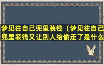 梦见往自己兜里装钱（梦见往自己兜里装钱又让别人给偷走了是什么意思）