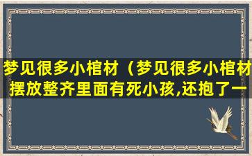 梦见很多小棺材（梦见很多小棺材摆放整齐里面有死小孩,还抱了一个回家）