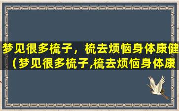 梦见很多梳子，梳去烦恼身体康健（梦见很多梳子,梳去烦恼身体康健）