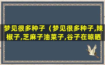 梦见很多种子（梦见很多种子,辣椒子,芝麻子油菜子,谷子在晾晒）