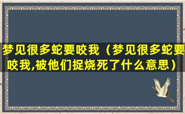 梦见很多蛇要咬我（梦见很多蛇要咬我,被他们捉烧死了什么意思）