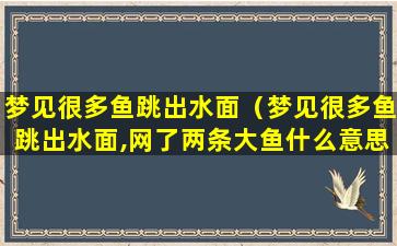 梦见很多鱼跳出水面（梦见很多鱼跳出水面,网了两条大鱼什么意思）