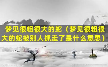 梦见很粗很大的蛇（梦见很粗很大的蛇被别人抓走了是什么意思）