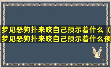 梦见恶狗扑来咬自己预示着什么（梦见恶狗扑来咬自己预示着什么预兆）