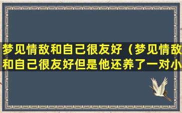 梦见情敌和自己很友好（梦见情敌和自己很友好但是他还养了一对小人宠）