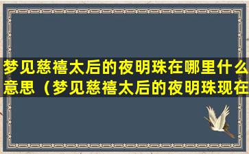 梦见慈禧太后的夜明珠在哪里什么意思（梦见慈禧太后的夜明珠现在在哪里）