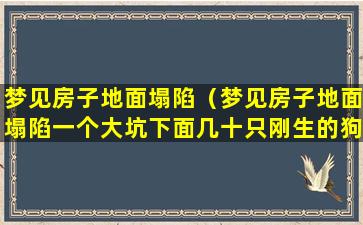 梦见房子地面塌陷（梦见房子地面塌陷一个大坑下面几十只刚生的狗）