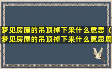 梦见房屋的吊顶掉下来什么意思（梦见房屋的吊顶掉下来什么意思周公解梦）