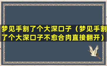 梦见手割了个大深口子（梦见手割了个大深口子不愈合肉直接翻开）